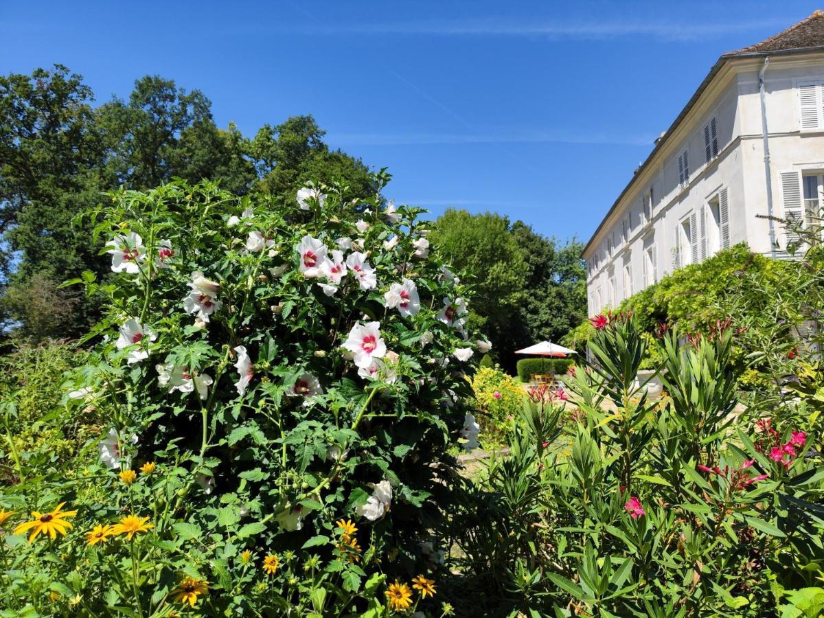 Chateau De Brinville Saint-Sauveur-sur-Ecole Dış mekan fotoğraf